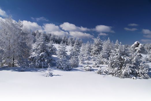 Mountain Winter Idyllic Scene