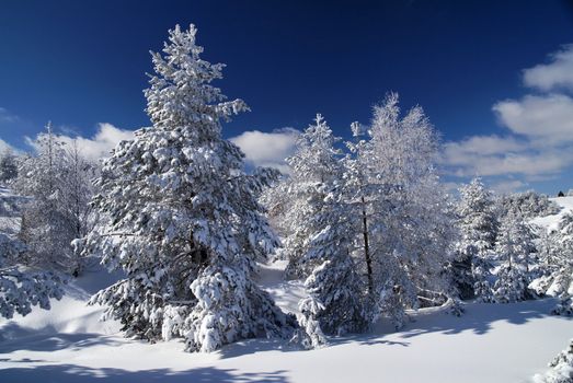 Mountain Winter Idyllic Scene