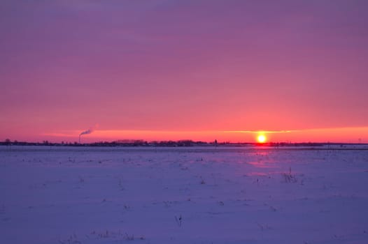 idyllic sunset at the field