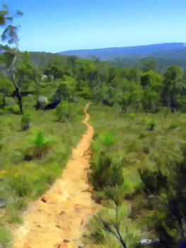 An outback track heading into the bushland.