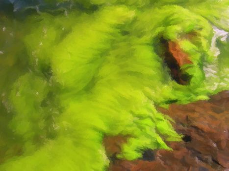 Nasty green slime washed up on the rocks.