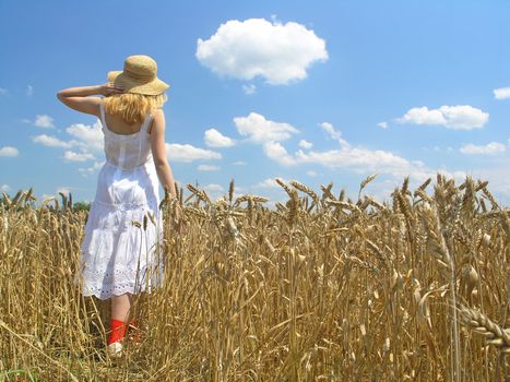 Field of Wheat