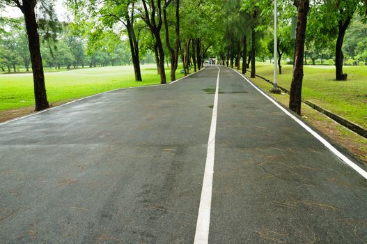 road and garden