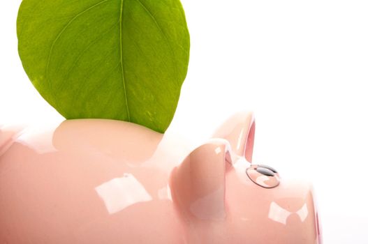 save the nature concept with piggybank an green leaf