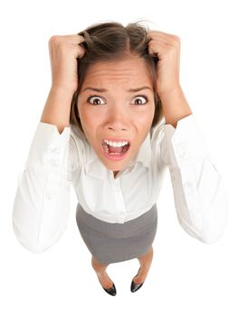 Stress. Business woman frustrated and stressed pulling her hair. Funny image of young Caucasian Asian businesswoman