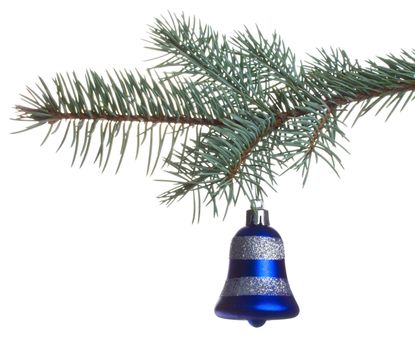 close-up blue bell on fir branch, isolated on white