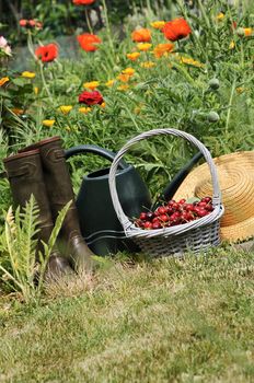 basket of cherries and straw hat in a flower garden