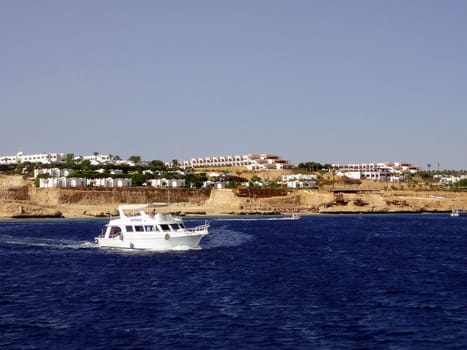 Sea walk, rest on the Red sea, Egypt, Sharm El Sheikh