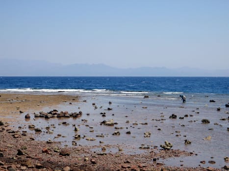 Sea coast, rest on the Red sea, Egypt, Dahab