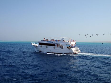 Sea walk, rest on the Red sea, Egypt, Sharm El Sheikh