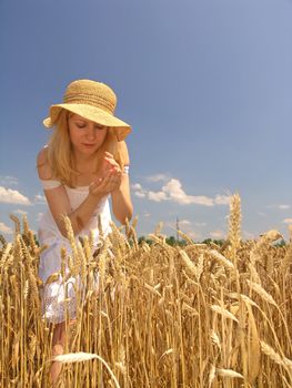 Field of Wheat