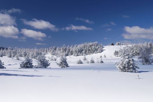 Mountain Winter Idyllic Scene