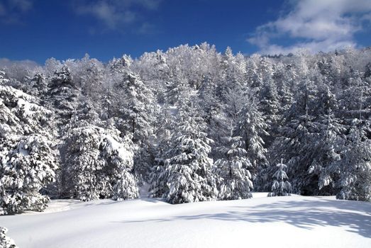 Mountain Winter Idyllic Scene