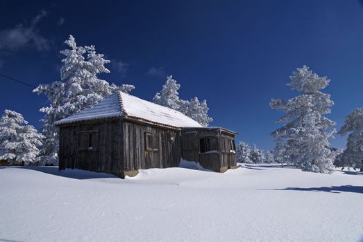 Mountain house in snow, winter sunny day