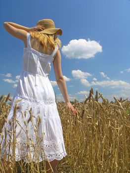 Field of Wheat