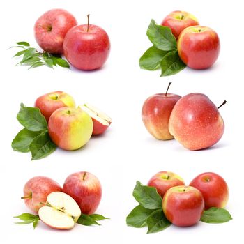 collection of fresh apple fruits