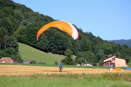 Red and white paraglider landing in a yellow field next to another in the sunny campain of Switzerland