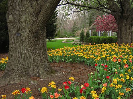 A photograph of a peaceful flower garden.