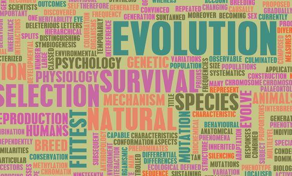 Evolution and Progress of Man as a Concept in 3d