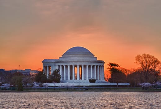 Jefferson Memorial at dawn by Tidal Basin and surrounded by pink Japanese Cherry blossoms