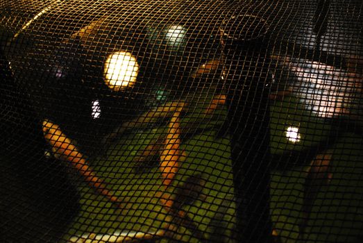 Fish farmin plant.