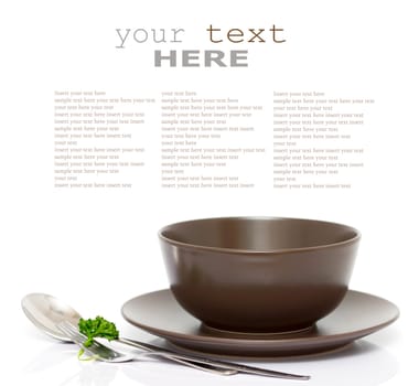 Plate, bowl, spoon and fork with parsley isolated on white (with empty space)