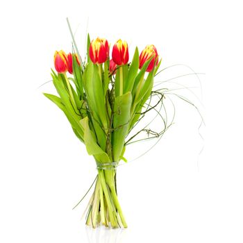 Bouquet of the fresh tulips on white background(With sample text)