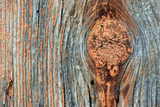 Weathered wooden texture with large knot