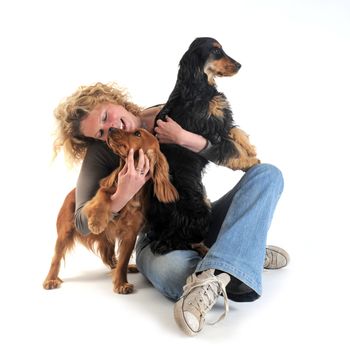 portrait of a  purebred english cockers and woman in a studio