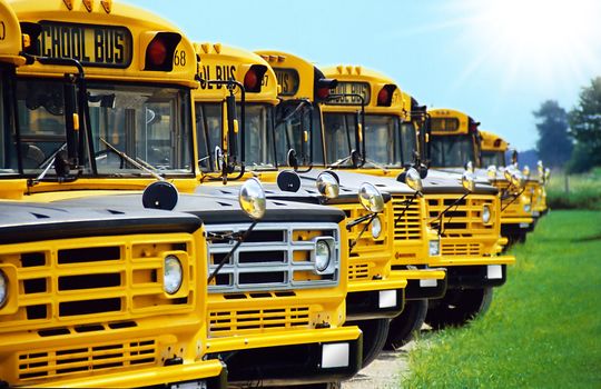 any yellow canadian school busses in a row