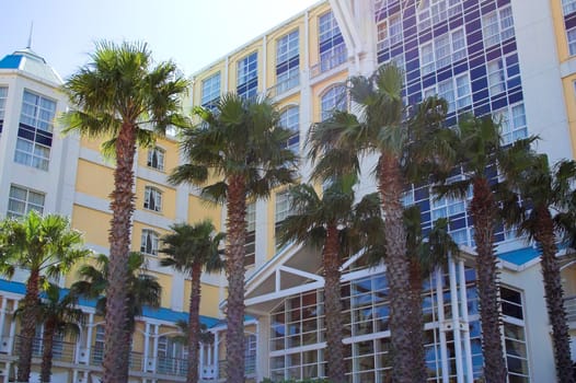 Shot of Holiday accomodation with palm trees