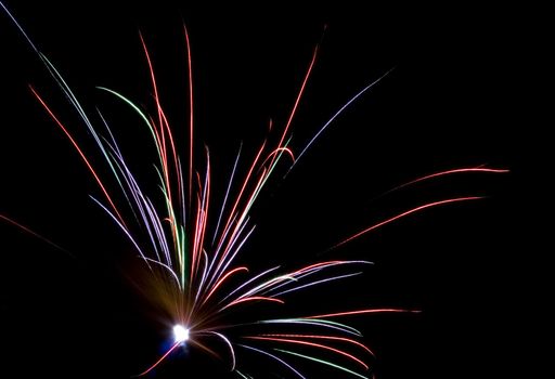 Fireworks Lighting up the Black Night Sky