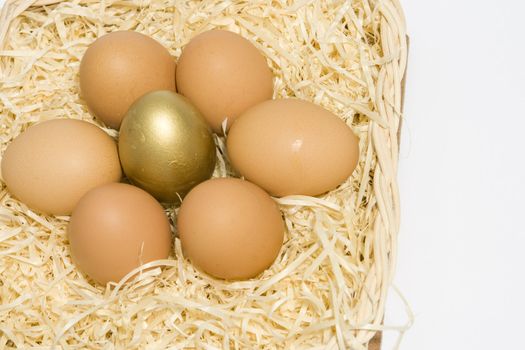 Eggs in a basket, with golden egg in centre