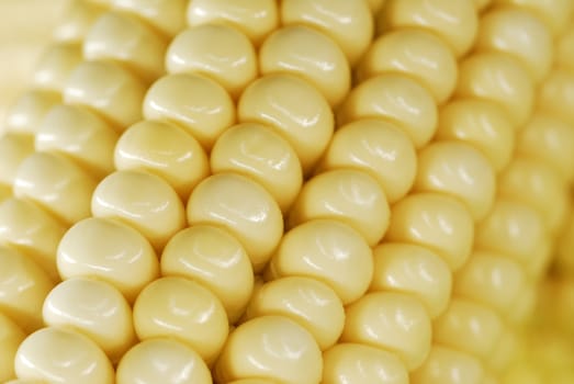 Closeup shot of corn