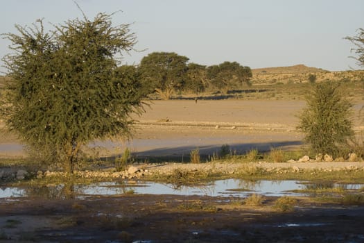 Landscape photo of river confluence in Kgalagadi