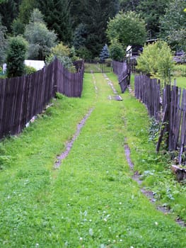 a small grassy mountain path between two fences