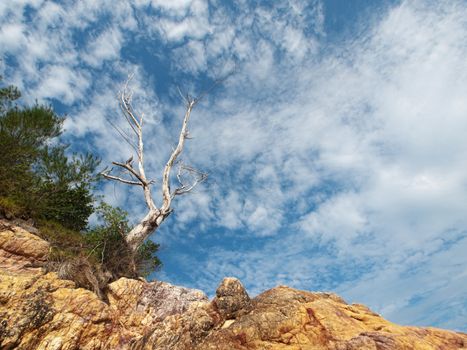 Dramatic beach landscape in Rawa island in Malaysia