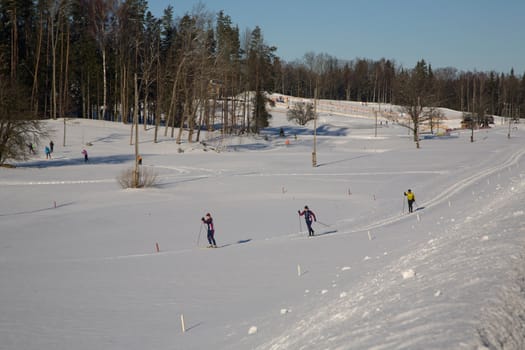 winter ski