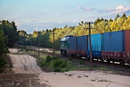 Freight train hauled by the diesel locomotive passing the forest
