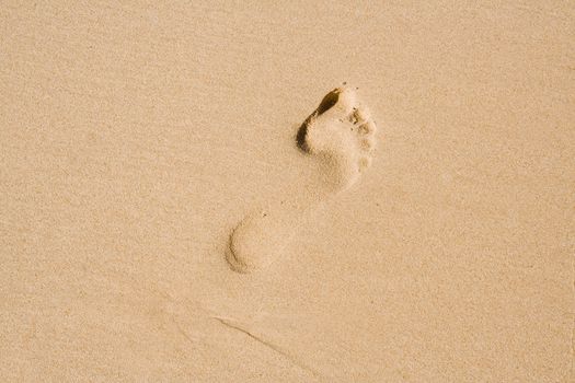 Footprints in the sand