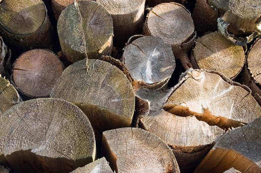 Stack of logs