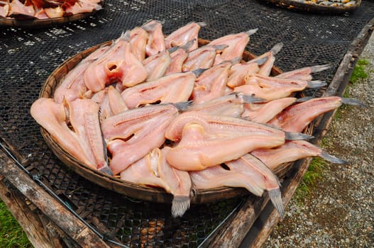 Dried fish in Thailand