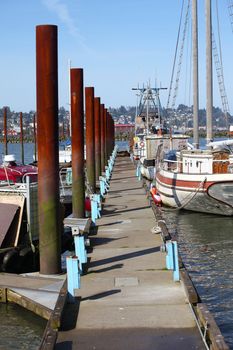 A long platform and steel poles reaches out to accommodate boats and sea-lions, Astoria Oregon.