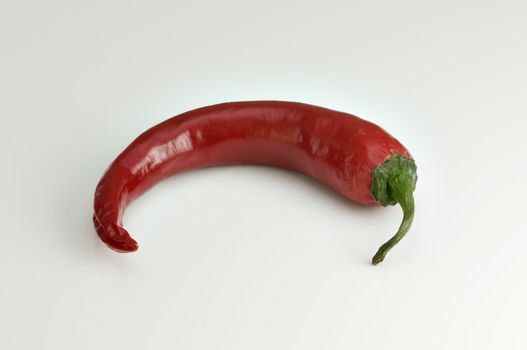 Red hot chili pepper for spicy food