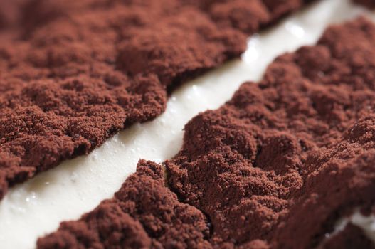 Classic, traditional tiramisu fresh cake from Italian tradition