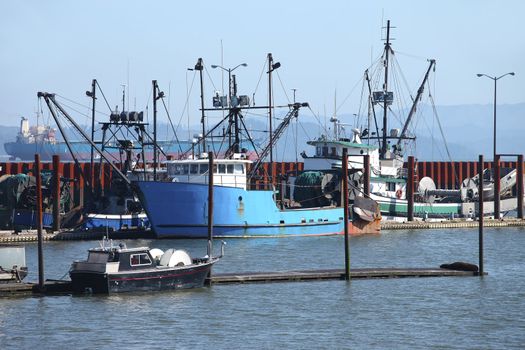 Fishing boats moored in a marina with a cargo ship in the background.