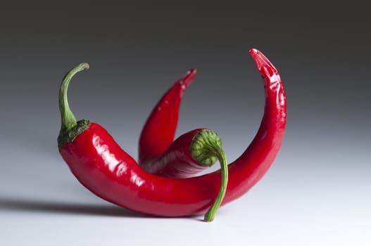 Red hot chili pepper for spicy food