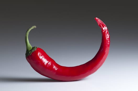 Red hot chili pepper for spicy food