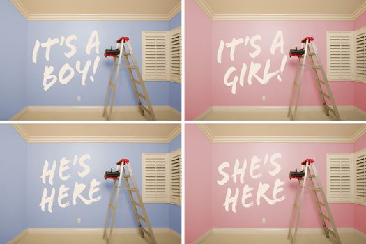 Maternity Series of Pink And Blue Empty Rooms with Ladder and Paint Supplies - XXXL.