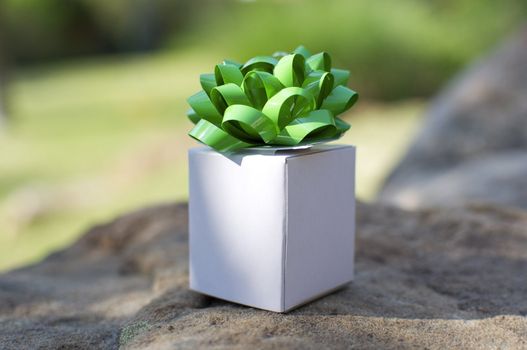 A tiny white gift box sits on a rock like a gift from Mother Nature herself.